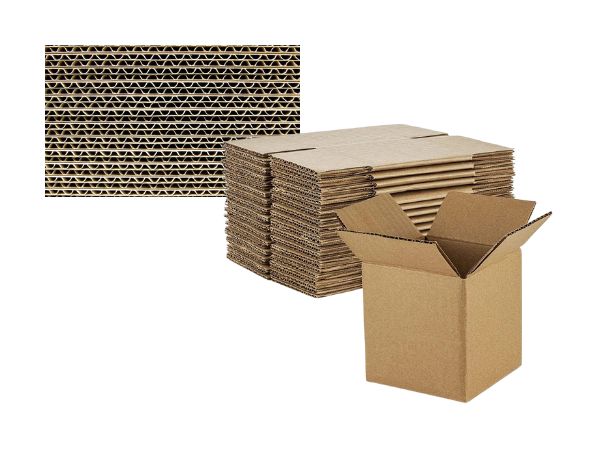 Pine and Jungle Patti